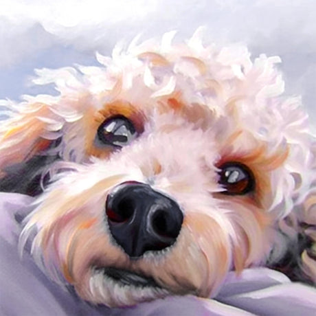 Diymood DIY 5D Diamond Painting Kits for Adults Dog Puppy - Diamond Art Kits for Adults Animal | Full Drill Round | Crystal Mosaic Picture | Beginner | Home Wall Decor | 12x12 Inch Diymood