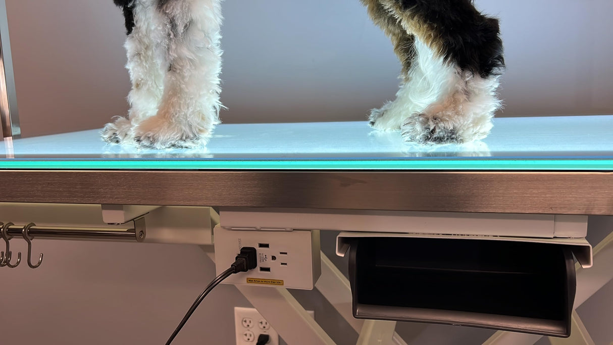 Cove Products LED Lit Master Groomer Electric Lift Grooming Table (Complete Package) Cove Products
