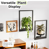 Bamworld Wall Planters for Indoor Plants Metal Wall Plant Holder Plant Hanger Wall Decor Wall-Mounted Wall Hanging Planters Outdoor Plant Rack Black 2 Pack (Patent Design) Bamworld