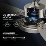 Fanbliss 42 Inch Nickel Ceiling Fans with Lights and Remote Control for Bedroom, Modern Ceiling Fan with Quiet Reversible DC Motor, 3CCT, Dimmable, LED for Living Room, Patio, Indoor and Outdoor Fanbliss