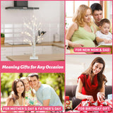 PEIDUO Artificial Tree for Table Decor, 2FT Birch Tree with LED Lights, Warm White Fairy Lights Spirit Tree Lamp for Home Indoor Tabletop Centerpiece, Battery Powered, Timer PEIDUO