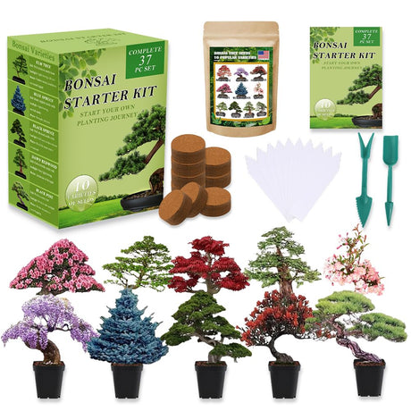 Bonsai Tree Seeds Kit 10 Popular Varieties Soil Pots Plant Markers Bonsai Starter Kit with Grow Guide GMBTHO