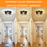 Feanron Farmhouse 2-Light Black Flush Mount Ceiling Light Fixtures, Industrial Vintage Metal Cage Closed to Ceiling Mount Lamp for Hallway Kitchen Bedroom 2 Pack, A19 LED Bulbs Included Feanron