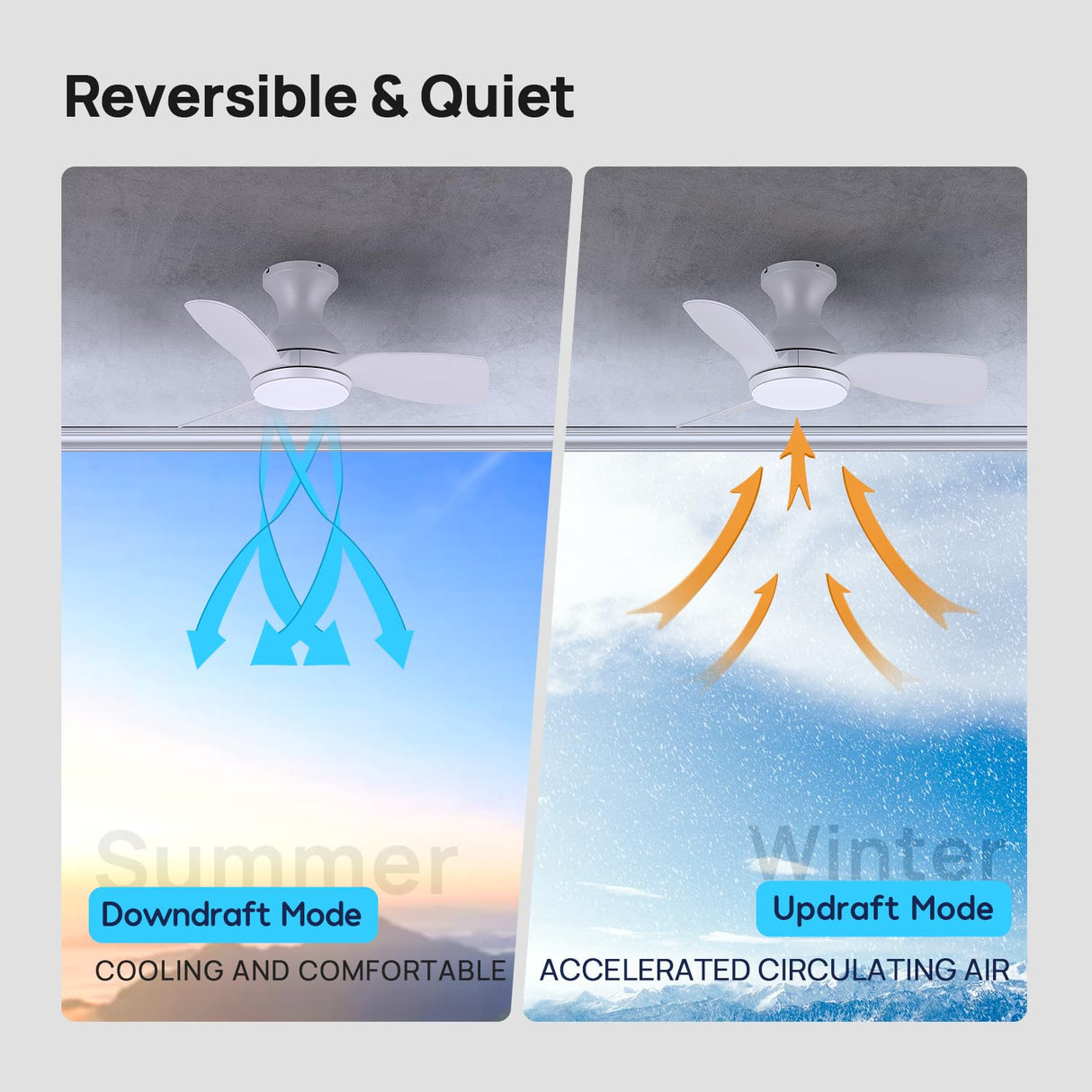 Consciot Ceiling Fan, 30 Inch Ceiling Fan With Lights Remote Control, White Low Profile Modern Ceiling Fan, Flush Mount, Reversible Quiet DC Motor, 6 Speed, Dimmable, Kitchen Bedroom Patio Damp Rated Consciot