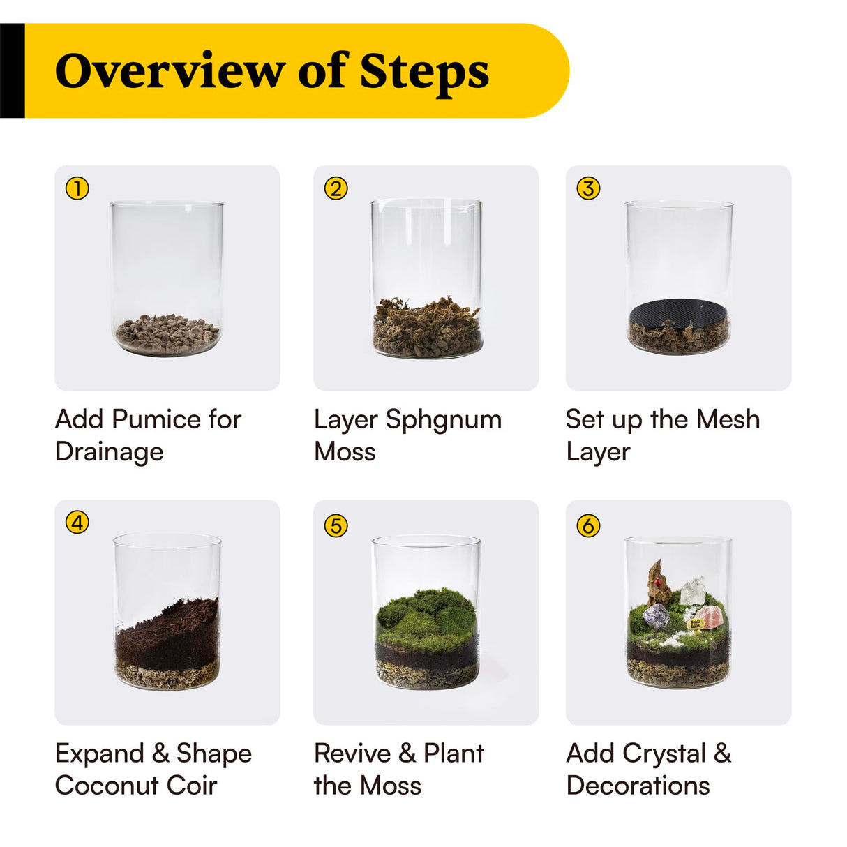 DIY Crystal Terrarium Kit– All-in-One Starter Kit with Moss, Pumice, Crystals, Coconut Coir, Gardening Tools & Decor | Healing Gift for Stress Relief | Plants & Crystal Lovers | Desk & Office Decor Terra Tales