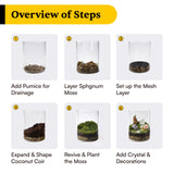 DIY Crystal Terrarium Kit– All-in-One Starter Kit with Moss, Pumice, Crystals, Coconut Coir, Gardening Tools & Decor | Healing Gift for Stress Relief | Plants & Crystal Lovers | Desk & Office Decor Terra Tales