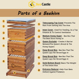 BeeCastle 8 Frame Langstroth Bee Hive Coated with 100% Beeswax Includes Beehive Frames and Waxed Foundations (2 Deep Boxes & 1 Medium Box) BeeCastle