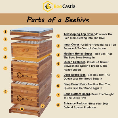 BeeCastle 8 Frame Langstroth Bee Hive Coated with 100% Beeswax Includes Beehive Frames and Waxed Foundations (2 Deep Boxes & 1 Medium Box) - WoodArtSupply