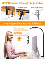 ACNCTOP Desk Lamp for Office Home - Eye-Caring Architect Task Lamp 25 Lighting Modes Adjustable LED Desk Lamp Flexible Gooseneck Clamp Light for Workbench Drafting Reading Study ACNCTOP