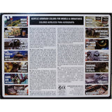 Vallejo Basic Colors: Acrylic 16 Airbrush Paint Set for Model & Hobby 71178, Black, 0.57 Fl Oz (Pack of 16) Vallejo
