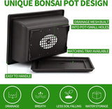 Meekear 5 Bonsai Tree Kit Complete Plant Growing Tools, Grow in Pot Indoor Bonsai Tree Starter Kit, Great Home Gardening Potted Plants DIY Gift for Adults Meekear