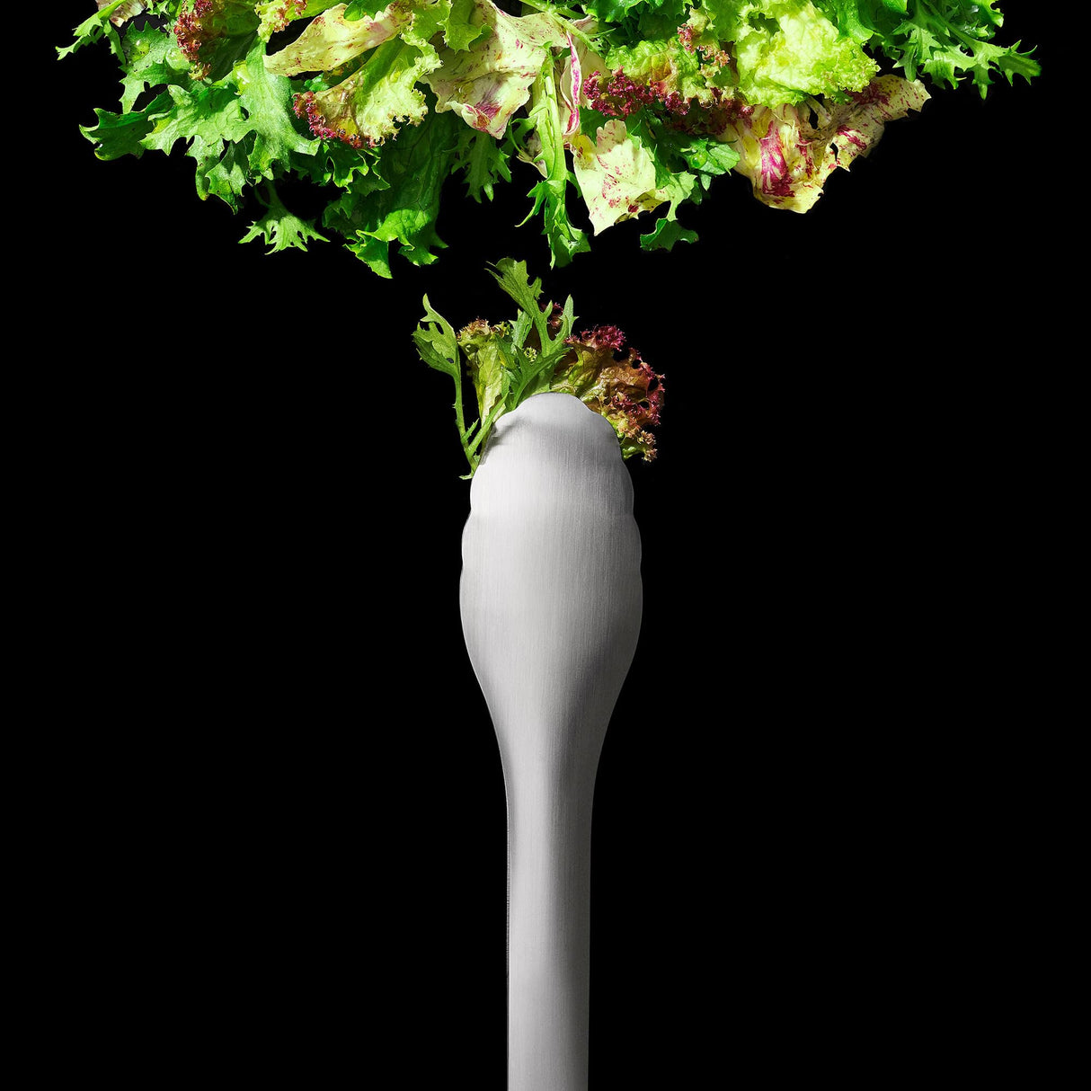 OXO Steel Serving Tongs OXO