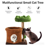 Small Cat Tree for Indoor Cats Large Adult, Cats Climbing Tower with Scratching Post, Cat Condo, Green Wood Cats Tree, Flower Cat Trees, Modern Cute Cat Tree with Dangling Ball (Mnit Green) Yungaspy