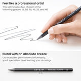 ARTEZA Woodless Graphite Pencils, Set of 12, HB, 2B, 4B, 6B, 8B, and EE ARTEZA