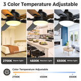 Acesal 72 Inch Ceiling Fans with Lights&App-Large Outdoor Ceiling Fan with Quiet DC Motor Dimmable 6 Speeds Timing Reversible Modern Industrial Ceiling Fan for Living Room Patio Indoor Outdoor-Black Acesal