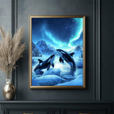 Killer Whale Paint by Numbers Kit for Adults Beginner, Aurora Paint by Numbers kit with Brushes and Acrylic, DIY Arts and Crafts for Adults Women for Home Decor, Gifts 16x22 in (No frame) X-585 XXDBBDUS