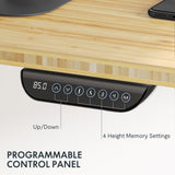 FLEXISPOT E6 Bamboo Dual Motor 3 Stages Standing Desk 60x30 Inch Whole-Piece Board Height Adjustable Desk Electric Stand Up Desk Sit Stand Desk(Black FLEXISPOT