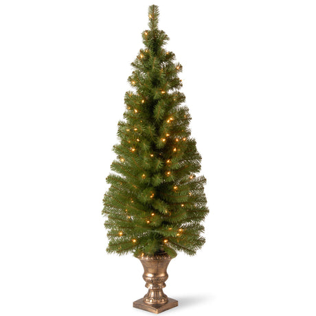 National Tree Company Pre-lit Artificial Christmas Tree For Entrances | Includes Pre-strung White Lights and Stand | Montclair Spruce - 5 ft National Tree Company
