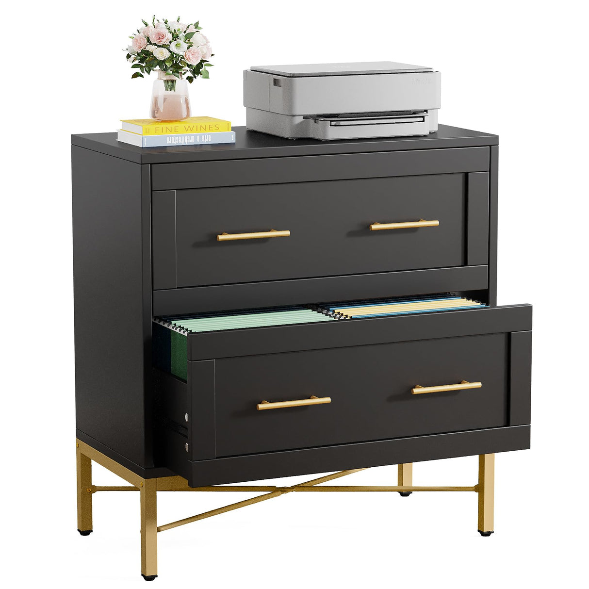 Tribesigns 2 Drawer File Cabinet, Modern Lateral Filing Cabinet for Letter/Legal/A4 Size, Large File Storage Cabinets Printer Stand with Storage for Home, Office, Black/Gold Tribesigns