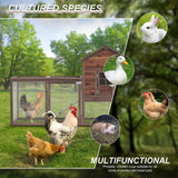 Wooden Chicken Coop, 80IN Outdoor Chicken Cages and Run with Nesting Boxes for 2-4 Chickens, Hen Run Poultry Pet House Rabbit Hutch with Waterproof Roof & Removable Tray for Backyard Poultry (ONE) TANGJEAMER