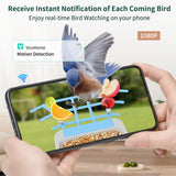 Twesync Smart Bird Feeder with Camera Solar Powered, 1080P HD AI Identify Wild Bird Feeder Camera Twesync