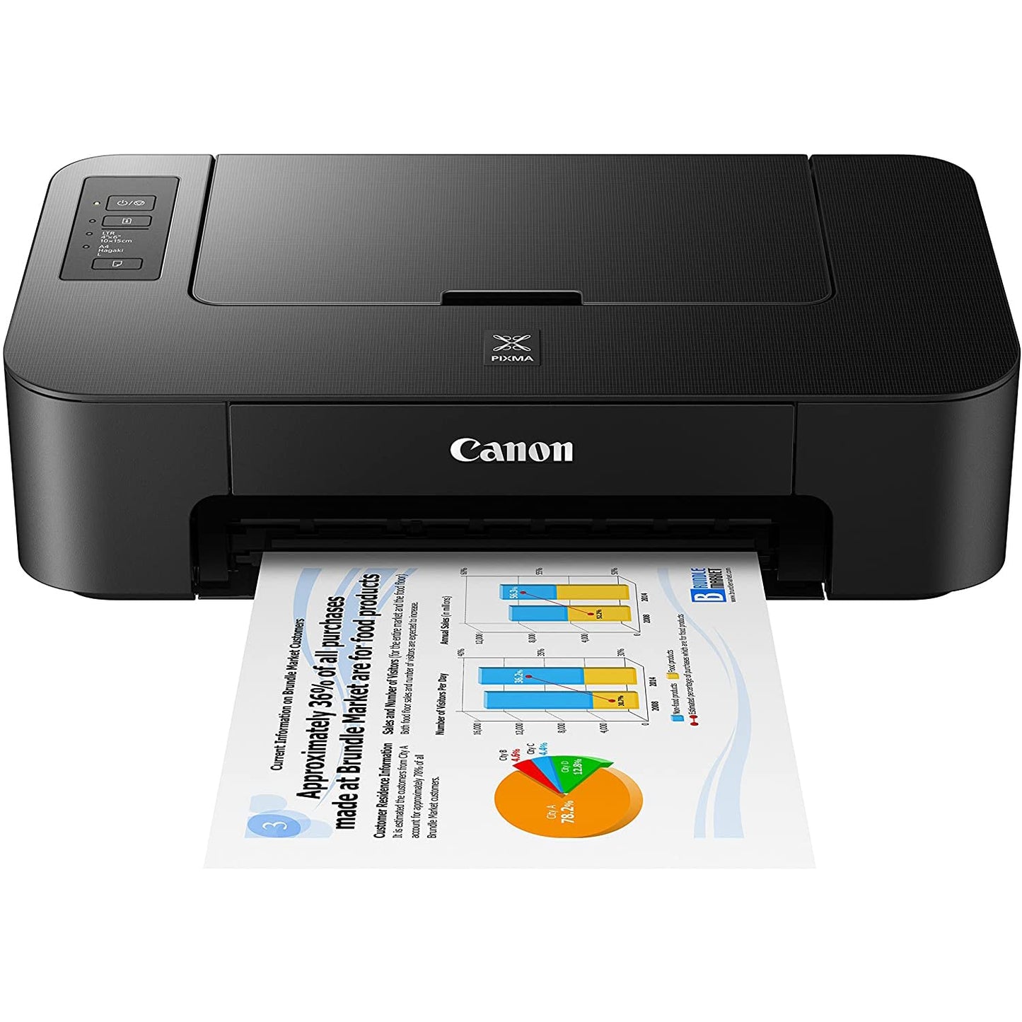 Canon PIXMA TS202 Inkjet Printer for Documents and Photos Up to 4800 x 1200 dpi with Complete Set of Full-Size Ink Cartridges Bundle Including DGE USB High Speed Print Cable + Business Software Kit