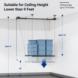 FLEXIMOUNTS Garage Ceiling Lifting Storage Rack, 4x4 Ft Heavy-Duty Metal Frame, Overhead Storage System With 300lbs Load Capacity, Matt Black FLEXIMOUNTS