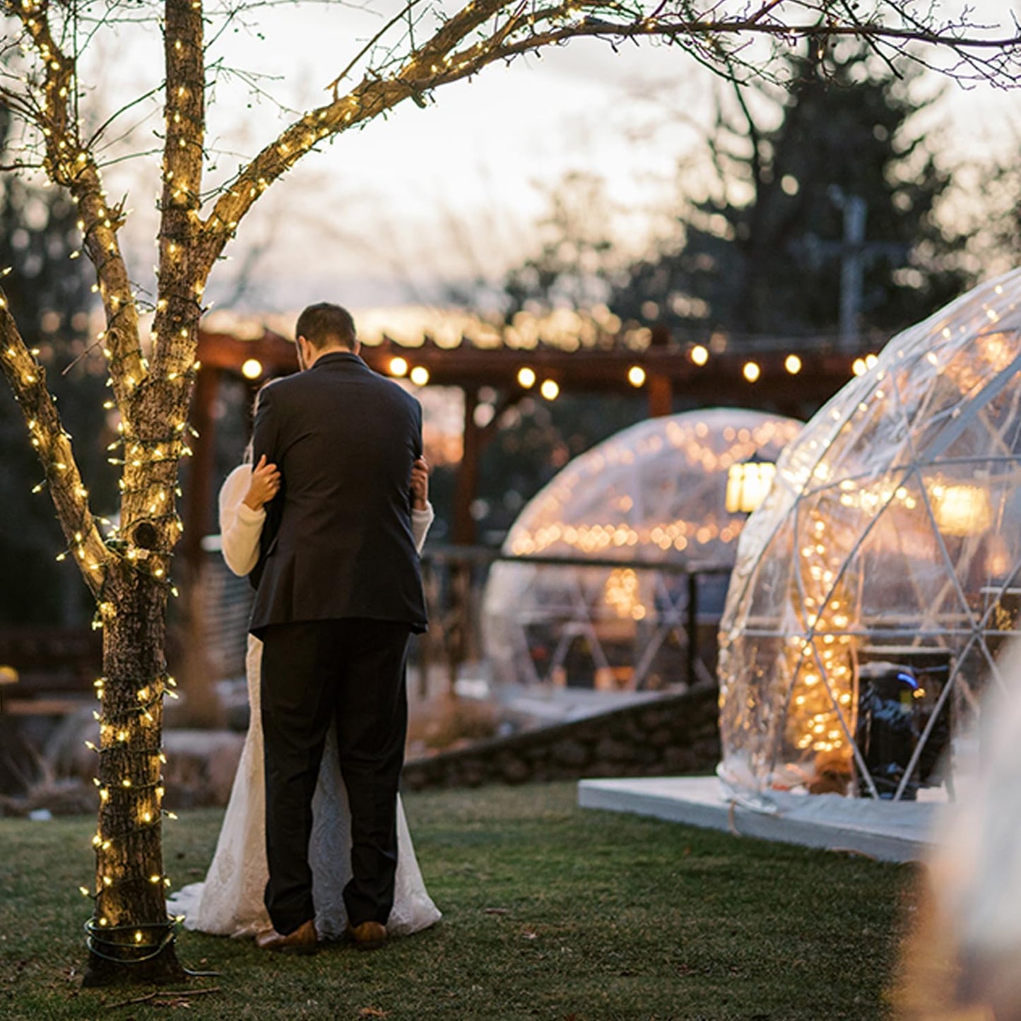 LVAOSTT Garden Dome Igloo Bubble Tent 12FT Clear Tent Outdoor for Garden, Weather Proof Pod Camping Patio Igloo Tent for Backyard Canopy Gazebos Screen House Room Lean to Greenhouse - WoodArtSupply