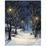 Winter Landscape Paint by Numbers Kit for Adults - DIY Snowy Park Path with Lanterns Painting on Canvas 16x20 Inches, Acrylic Paint Set, Suitable for Beginners, Art for Home Decoration or Gifts DecorFriday