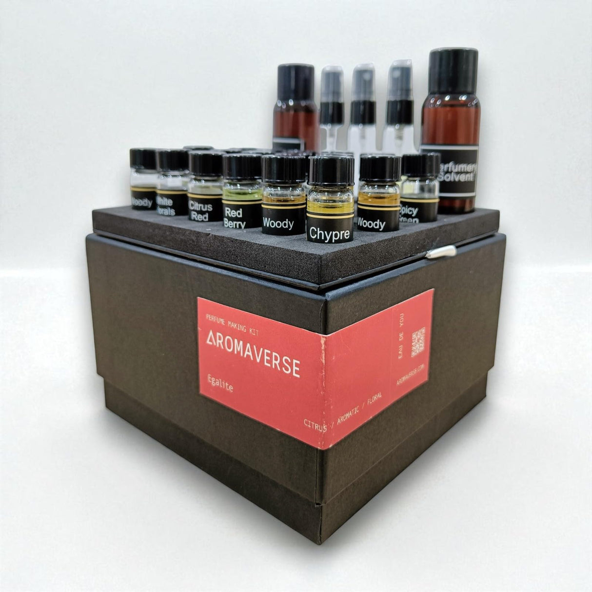 Aromaverse EGALITE I DIY Perfume Making Kit| 16 Aromatic Ingredients| Perfumery Solvent| Spray Bottle & Guided Formulations to Create Custom luxury Eau De Parfum for Men & Women| Perfect Scented Gift Aromaverse