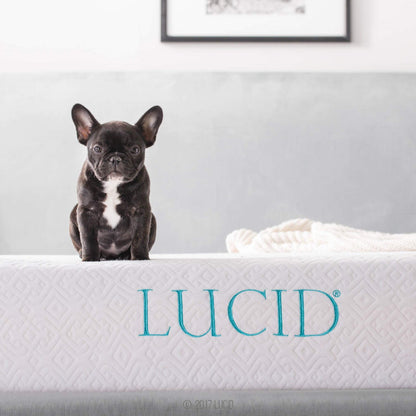 LUCID 10 Inch 2019 Gel Memory Foam Mattress - Medium Firm Feel - CertiPUR-US Certified, Queen