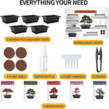 Meekear 5 Bonsai Tree Kit Complete Plant Growing Tools, Grow in Pot Indoor Bonsai Tree Starter Kit, Great Home Gardening Potted Plants DIY Gift for Adults Meekear