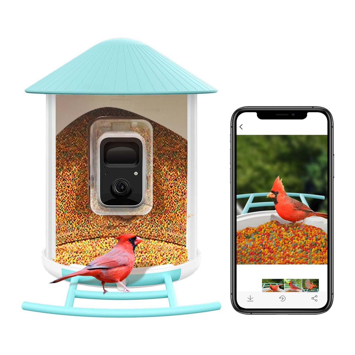 NETVUE Birdfy Smart Bird Feeder with Camera - Auto Capture & Identify 6000+ Species, Free AI Forever, Ideal Gift for Birdwatching and Bird Lovers NETVUE