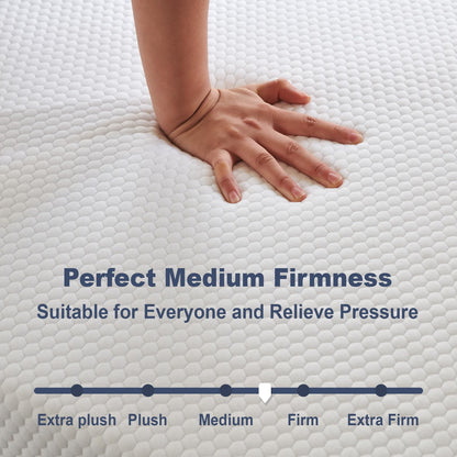 Rilelola Queen Mattress, 8 Inches Queen Mattress in Box, No Fiberglass, Memory Foam Mattress with Pressure Relieving, 80" X 60" X 8"