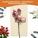 Unfinished Wood Canvas Boards for Painting - Blank Square Cradled Panels for Mixed-Media Craft & Art Supply - Acrylics (12x6 in - 8 PCS) APACALI