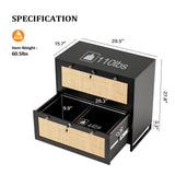 VINGLI Black Rattan 2 Drawer Lateral File Cabinet with Lock, Wood Locking File Cabinets for Home Office, File Cabinet Printer Stand for Hanging Letter/Legal Size Labeled Folders, Oak, 30W x 16D x 28H VINGLI