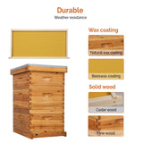 VINGLI 10-Frame Bee Hive, Wax Coated Beehive Starter Kit with Frames & Beeswax Coated Foundation Sheets (3 Layer) VINGLI