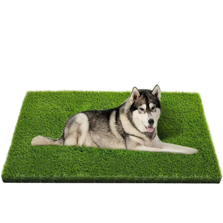 CooZero Artificial Grass, Professional Dog Grass Mat, Potty Training Rug and Replacement Turf Outdoor Rug Patio Lawn Decoration, Easy to Clean with Drainage Holes(47.3x31.5 inches) CooZero