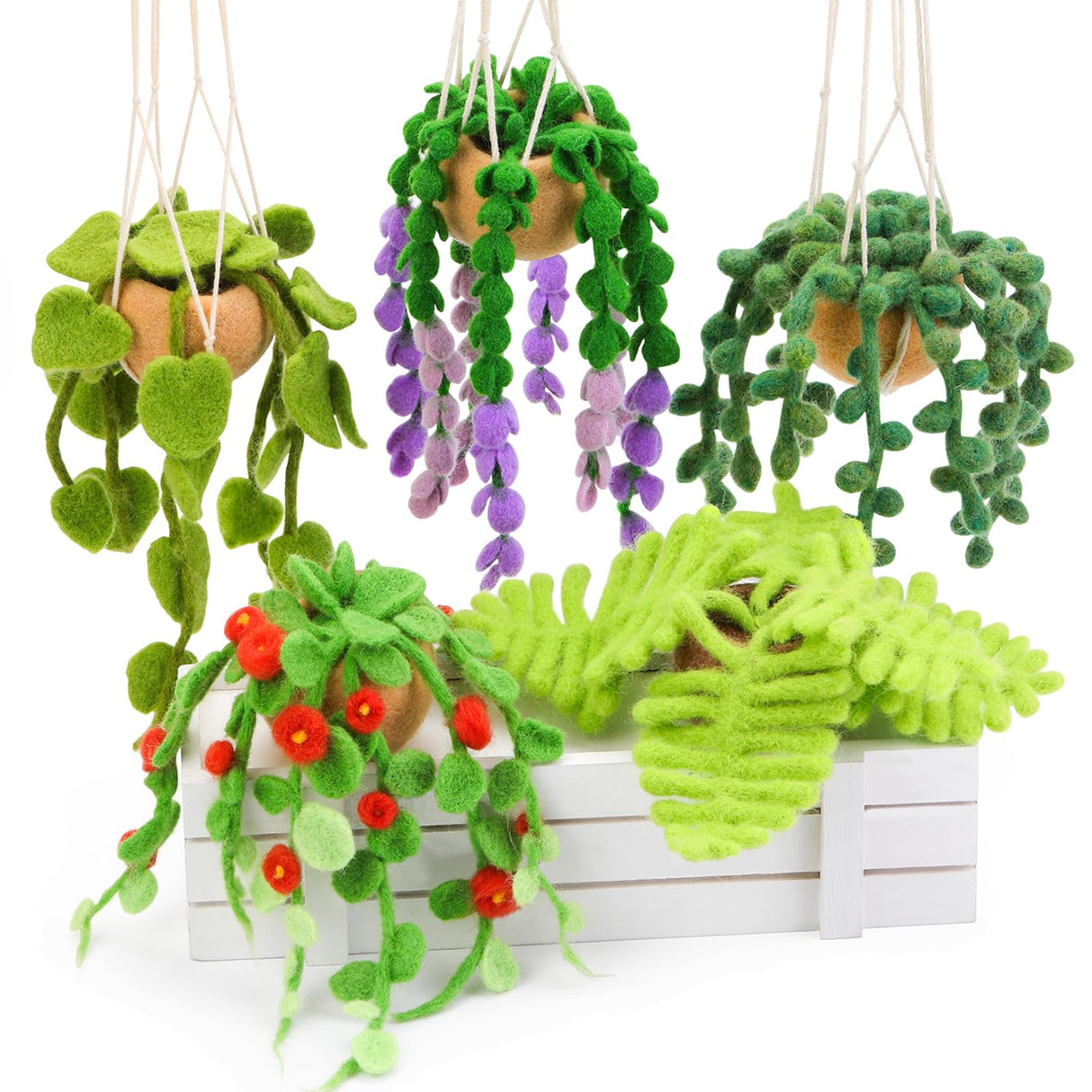 OEHPICC Needle Felting Kit, 5 Pack Hanging Plants Needle Felt Beginner Kit, Including Basic Needle Felting Tools, Instructions, Needle Felt Craft Kit for Indoor Outdoor Office and Home Decor OEHPICC