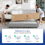 Ruoysun King Size Mattress, 14 Inch Firm Hybrid King Bed Mattress in a Box, with Gel Memory Foam and Individual Pocket Springs, Motion Isolation, Relieve Back Pain & Pressure Relief Ruoysun