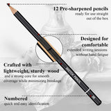 Sketch Pencils for Drawing, Set of 12 Drawing Pencils for Sketching Medium (6B - 4H), Artist Graphite Pencils, Sketch Set for Artists for Sketching Supplies, Art Supplies. Aenir
