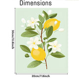 cupmod 6Pack Paint by Number for Adults and Kids,DIY Acrylic Painting Paint by Numbers Kits on Canvas Without Frame,Fruit Oil Painting for Home Wall Decor 7.8x11.8inch cupmod