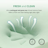 Dyonery Twin Mattress - 6 Inch Green Tea Memory Foam Mattress- Twin Mattress in a Box - CertiPUR-US Certified Fiberglass Free Mattress - Cooling Gel Layer - Medium Firm - 75" x 38" Dyonery