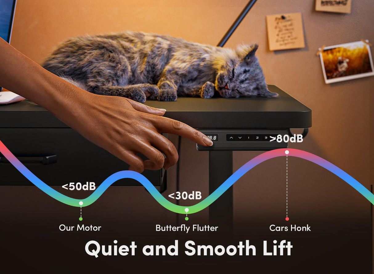 FEZIBO Adjustable Height Electric Standing Desk with Double Drawer, 48 x 24 Inches Stand Up Home Office Desk with Splice Tabletop, Black Frame/Black Top FEZIBO