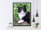 VAIIEYO 5D Diamond Art Kits for Adults Cat, Diamond Painting Animal, Paint by Numbers Full Drill Round Rhinestone Craft Canvas for Home Wall Decor Gift 12x16 inch VAIIEYO