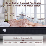 Dreamscape King Size Mattress, 12 Inch King Mattress in a Box, Memory Foam Hybrid Matress with Individual Pocket Spring for Motion Isolation, Pressure Relief, Medium Firm Feel, CertiPUR-US Dreamscape