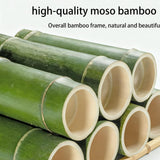 Display Cabinet with Glass Doors, 5-Tier Curio Cabinet with 4 Adjustable Shelves for Collectibles Toy Organizers Rack & Display Shelf, Kids Bookcase for Bedroom, Reading Nook, Living Room (grey) YGWBGA