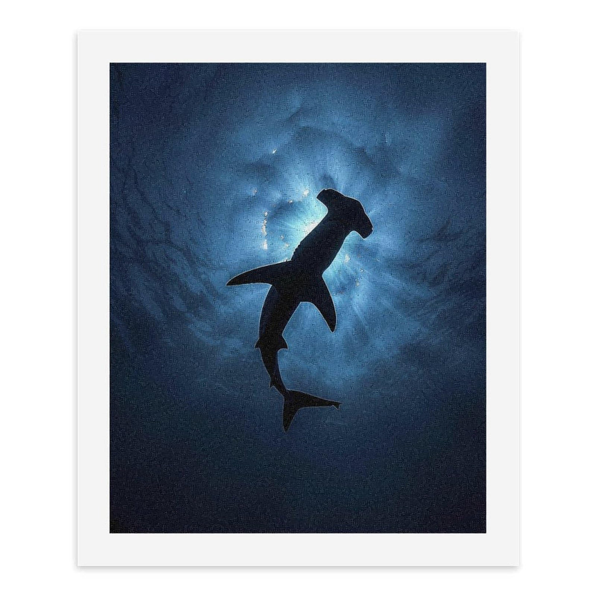 Hammerhead Shark Paint by Numbers Kits for Adults Beginners Canvas Painting for Home Wall Decor 50x40cm Generic