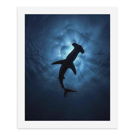 Hammerhead Shark Paint by Numbers Kits for Adults Beginners Canvas Painting for Home Wall Decor 50x40cm Generic