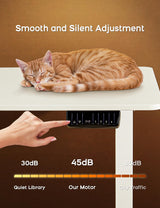 Deroavixe Electric Standing Desk, Height Adjustable Desk with 4 Memory Settings, 55 x 28 Inches, Home Office Workstation (White Desktop + White Frame) Deroavixe